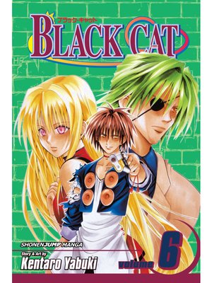 cover image of Black Cat, Volume 6